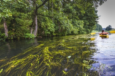 AS-TOUR Spływy kajakowe i kajaki